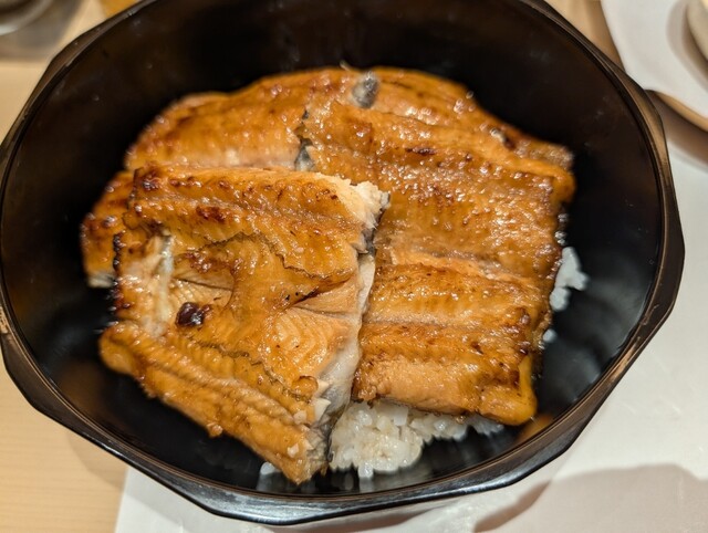 蒸し鰻